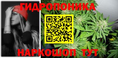 скорость Аша