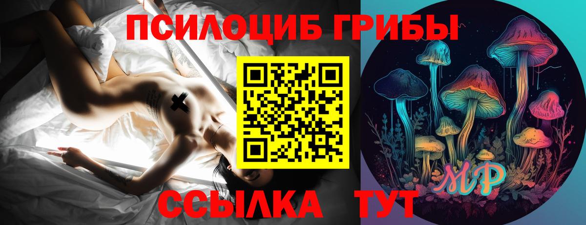Галлюциногенные грибы Psilocybe Вичуга